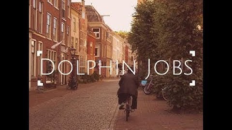 Dolphin Jobs @CSE Project @Bennett University
