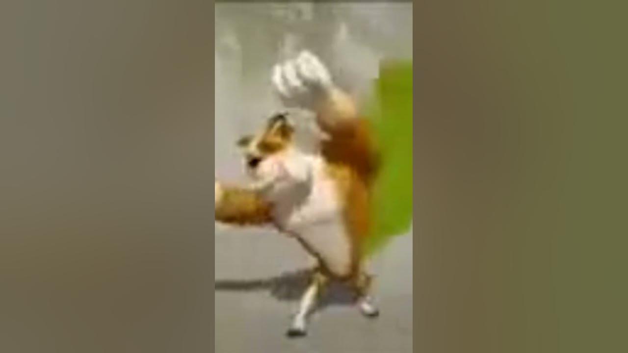 Собака танцует #shorts - YouTube