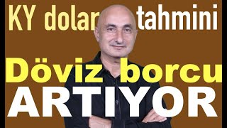Küçük Yatırımcının Dolar Tahmini