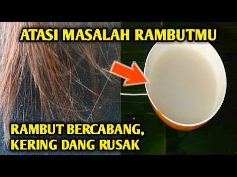 Memperbaiki Rambut Kering, Rusak & Bercabang 