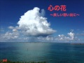 心の花(〜美しい想い出に〜)