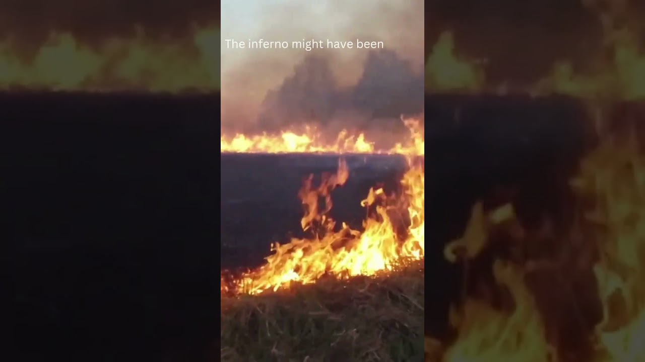 This inspired AMATEA. 