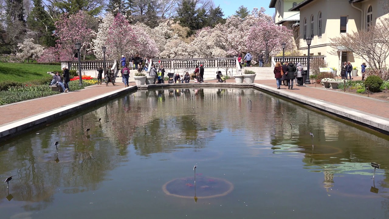 9 Botanical Gardens That Are More Beautiful At Night Botanical Gardens