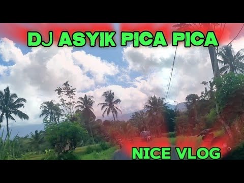 NICE FLOG WITH NONA AMBON DJ PICA PICA