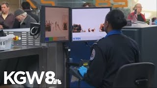TSA workers begin to get backpay as partial government shutdown continues