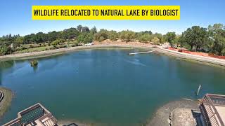 Measure O in Action: Time Lapse of lake drain - July 2025