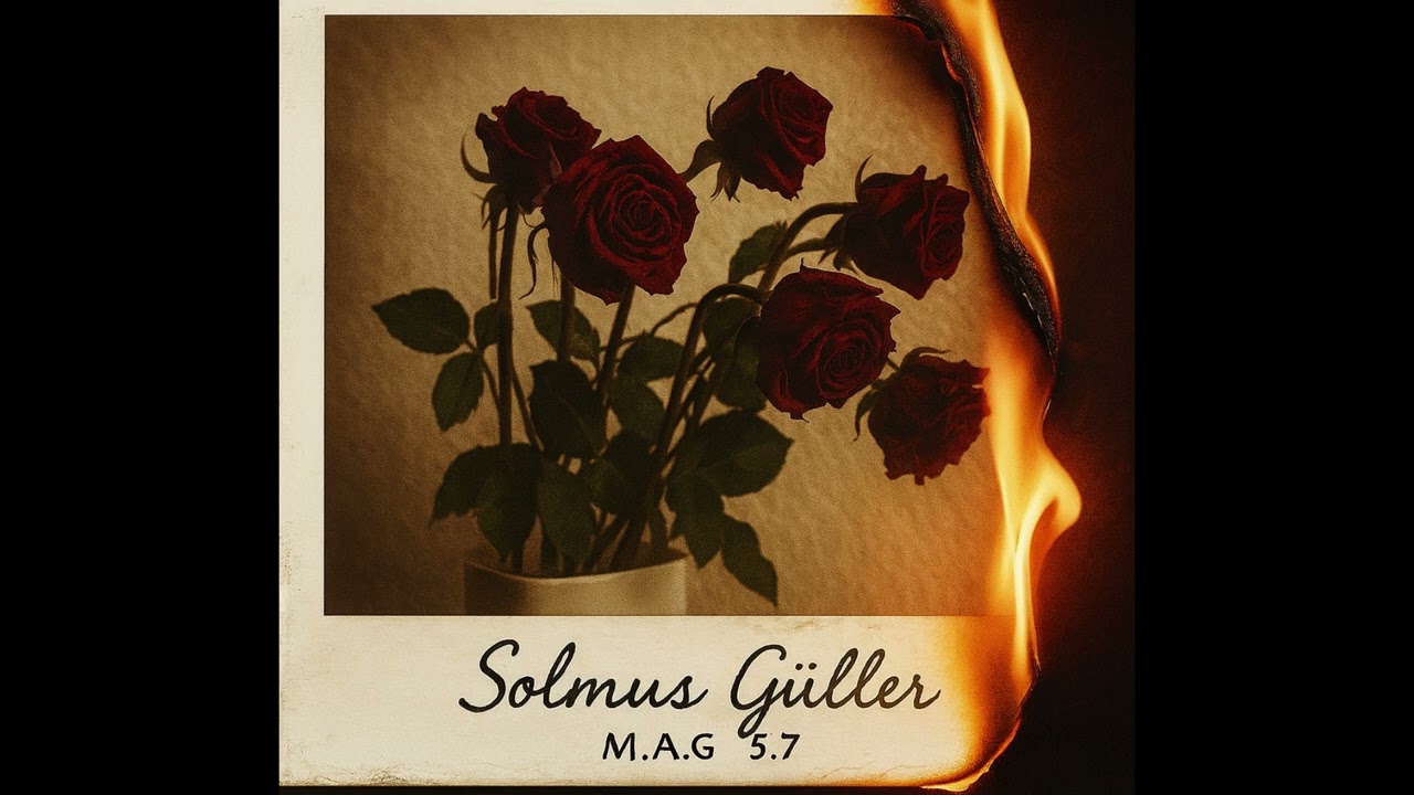 M.A.G - Solmuş Güller