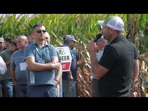 Corteva & Pioneer Agronomy Day - MARETU PROD COM SRL, Viziru, Braila_august