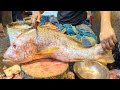 Big red snapper fish cutting skills by a Bangladeshi fish cutting expert-amazing knife skills