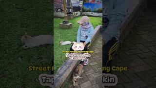 Street Feeding Itu Emang Cape ‍  Tapi Capenya bikin Aku Bahagia  #cat #kucing #catlover