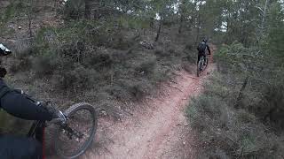 De Cornudella A Lalbarca Pel Riu