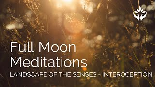 August Full Moon Meditation - Landscape of the Senses -  Interoception.