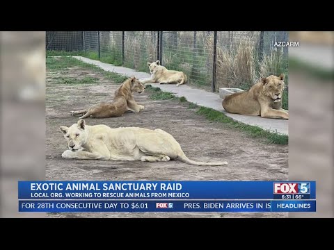 Exotic Animal Sanctuary