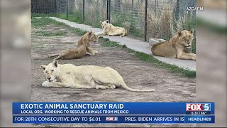 Exotic Animal Sanctuary Raid
