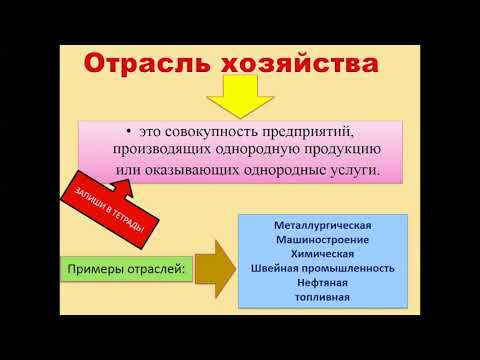 ГЕОГРАФИЯ 8 класс "Что такое хозяйство"