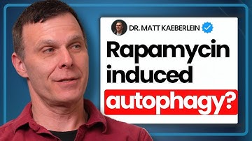 Rapamycin Improves Autophagy? | Analyzing Longevity News