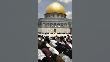 ((وَمَا لَنَا أَلَّا نَتَوَكَّلَ عَلَى اللَّهِ وَقَدْ هَدَانَا سُبُلَنَا ۚ)) سورة إبراهيم