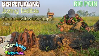 BERBURU BELIBIS‼️PAKAI JARING Di ISTANA BELIBIS✅