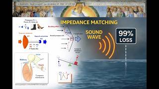 Impedance Matching: Middle Ear Medical Physiology & Physics