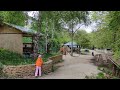 04.05.24г Карачаево Черкесия Медовый Водопады 4 часть продолжение видео