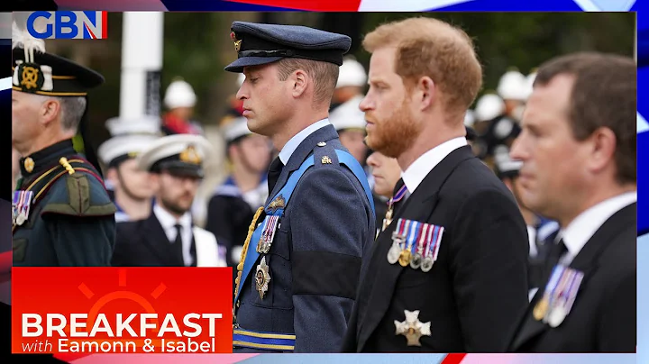 Prince Harry 'speaking for Prince William' is SO I...