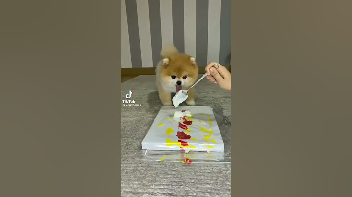 Dog Makes Incredible Abstract Painting #shorts #painting #dogs