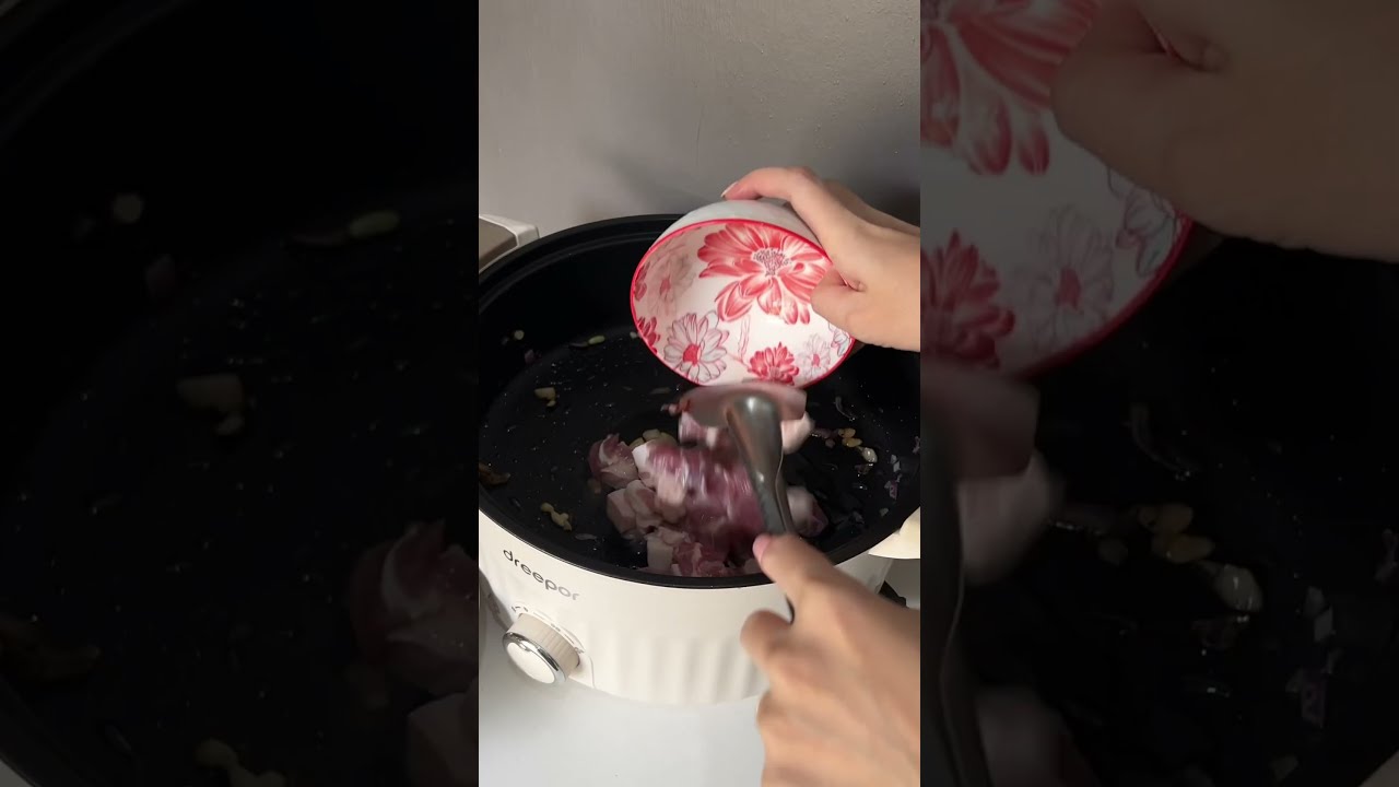 Dreepor Multifunctional Electric Cooker