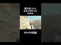 #ゼルダの伝説 #ネイマール 滑り出したら止まらないwwww #ブレスオブザワイルド #ティアーズオブザキングダム #neymar