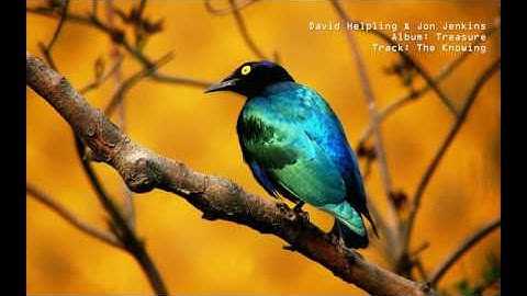 David Helpling & Jon Jenkins: Treasure: The Knowing / HD 720