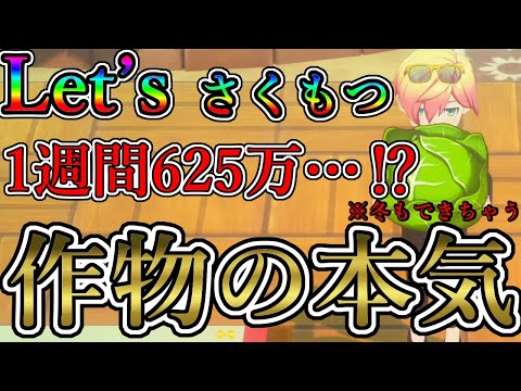 牧場物語 グランドバザール:作物を効率的に売ってお金を稼ぐ方法