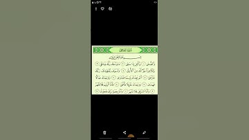 سوره الضحى بصوت جميل جدا يهز القلوب
