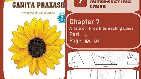 Class 7 Ganita Prakash Chapter 7 A Tale of Three Intersecting Lines Part 3 Page 159 - 162 & Exercise