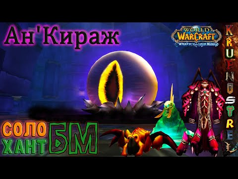 Видео: Ан'Кираж — СОЛО Хант БМ !!! (WOTLK 3.3.5a) Ahn'Qiraj SOLO Hunter BM