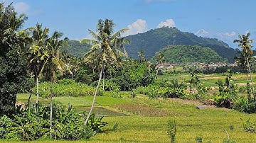 Indonesia - Lesser Sunda Islands - 2024  4K
