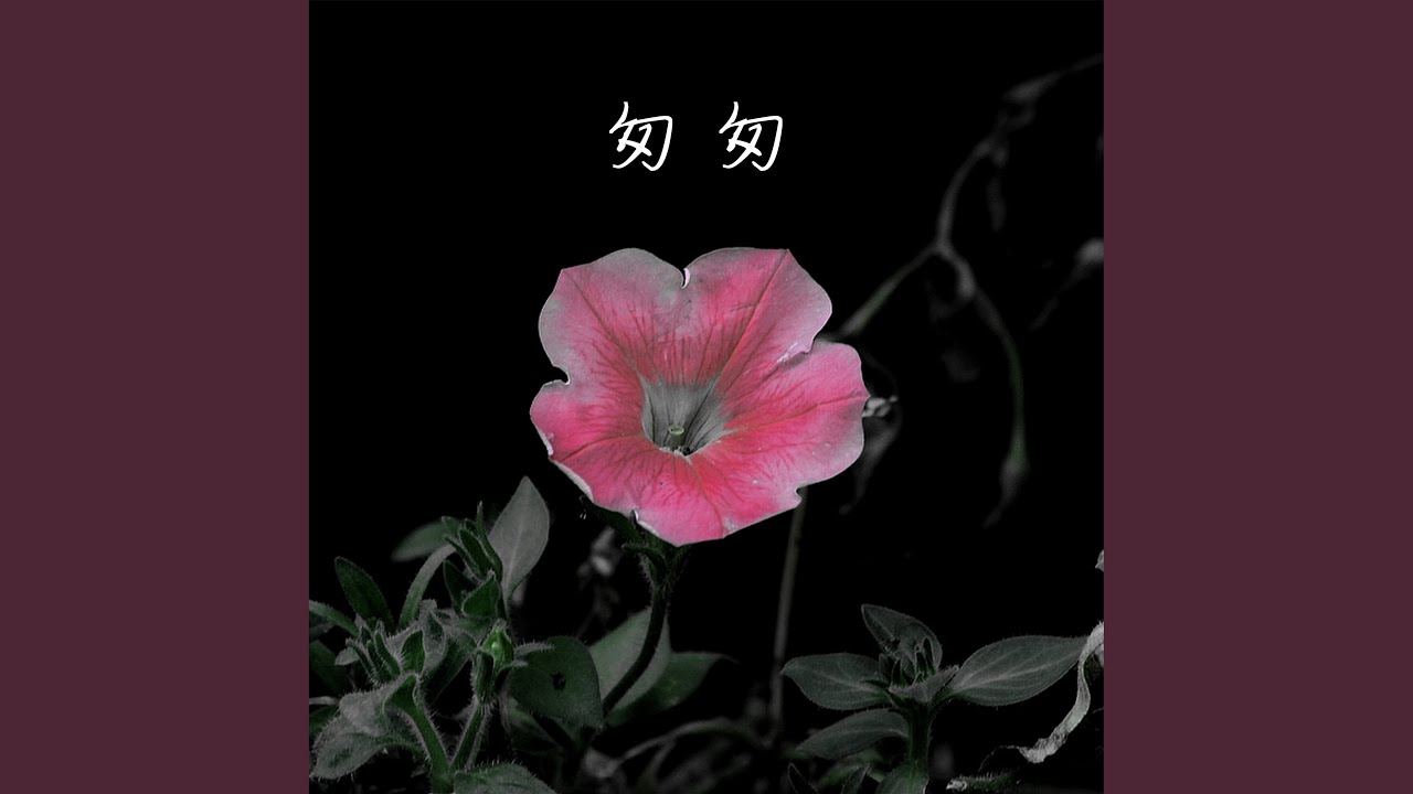YouTube에서 匆匆 (伴奏) 보기 YouTube에서 匆匆 (伴奏) 보기