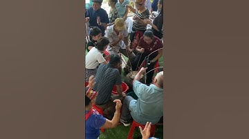 Khi gái xinh uống rượu cần #tóclonghạnh #toclonghanh #sacmauthai #short #shorts