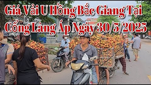 Giá Vải U Hồng Bắc Giang Sáng Nay Tại Cổng Làng Áp