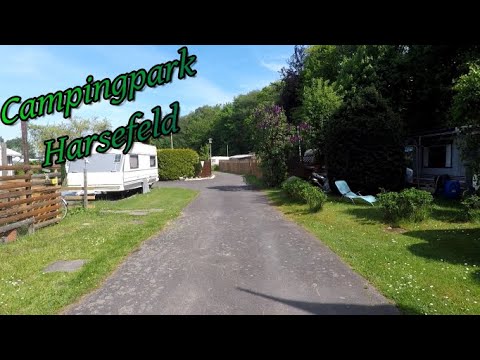 camper for vw beetle Beetle Camper