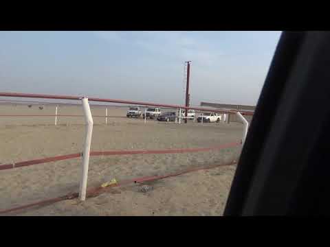 الشوط الرئيسي لسن الحقايق بكار الماجديه محمد بن عايد الجهني