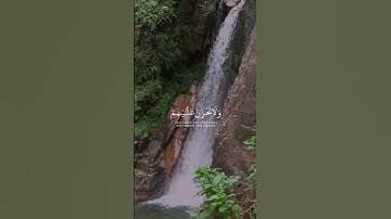 و اصبر و ما صبرك إلا بالله و لا تحزن عليهم ولا تك في ضيق مما يمكرون. [سورة النحل : 127] | متعة العين