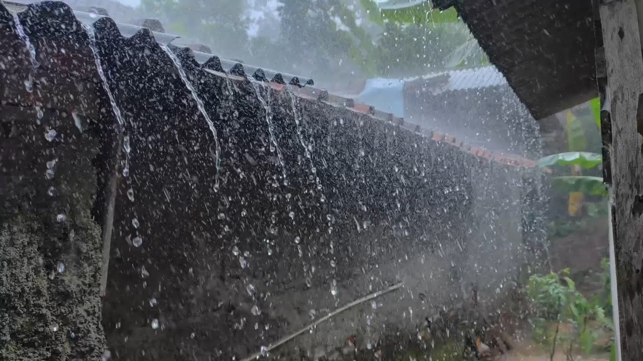 Очень сильный дождь и сильный ветер делают атмосферу очень тихой, очень комфортной для отдыха.