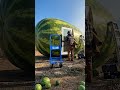 “You Won’t Believe What He Built Inside a Watermelon! 😲”#Watermelon #Creative #DIY #WaitForEnd #Mind