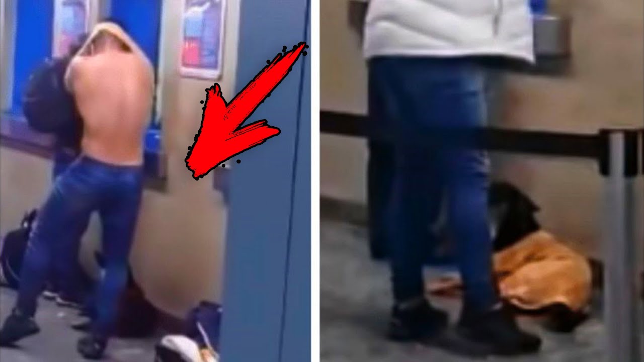 Он заметил собаку, которая дрожала от холода и сделал НЕВЕРОЯТНОЕ ...