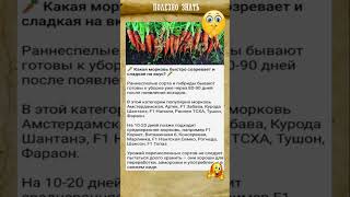 ПОЛЕЗНО ЗНАТЬ! Какая морковь быстрее созревает #shorts #рецепты  #советы