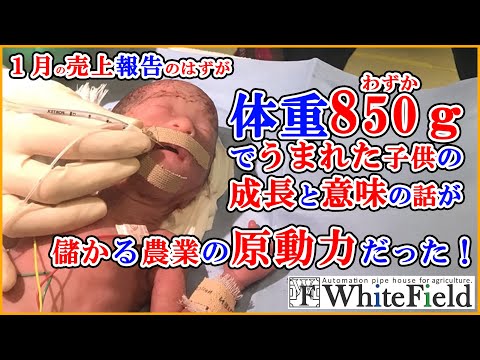 １月の売上報告！のはずが体重わずか850ｇで生まれた子供の成長が実は三好家が農業を頑張る原動力だった。【慢性肺疾患】【未熟児】【母親に感謝】