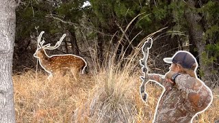 AXIS Deer Hunting in Texas! Bowhunting Exotic Game screenshot 1