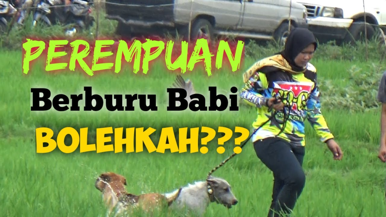 Fenomena baru di Minangkabau, wanita cantik Enjoy Berburu Babi
