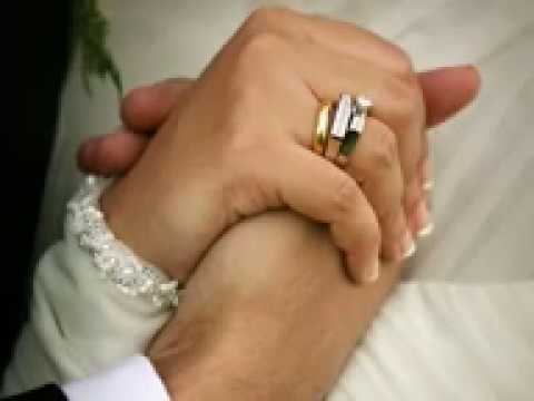 حلم الليالى