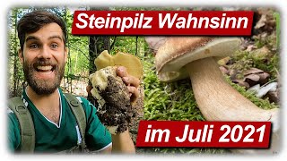 Steinpilz Wahnsinn JULI 2021 | Speisepilze sammeln im Sommer