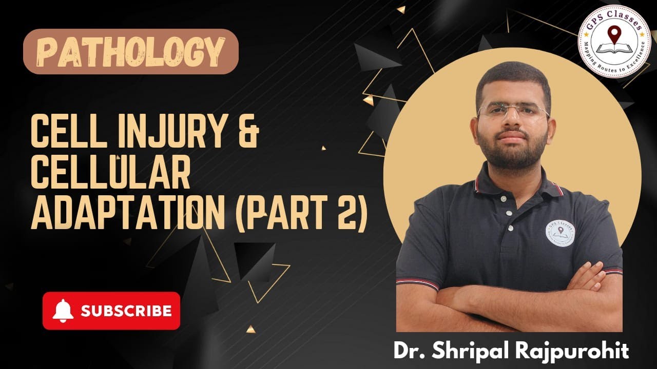 CELL INJURY & CELLULAR ADAPTATION (Part 2) | GENERAL PATHOLOGY - YouTube